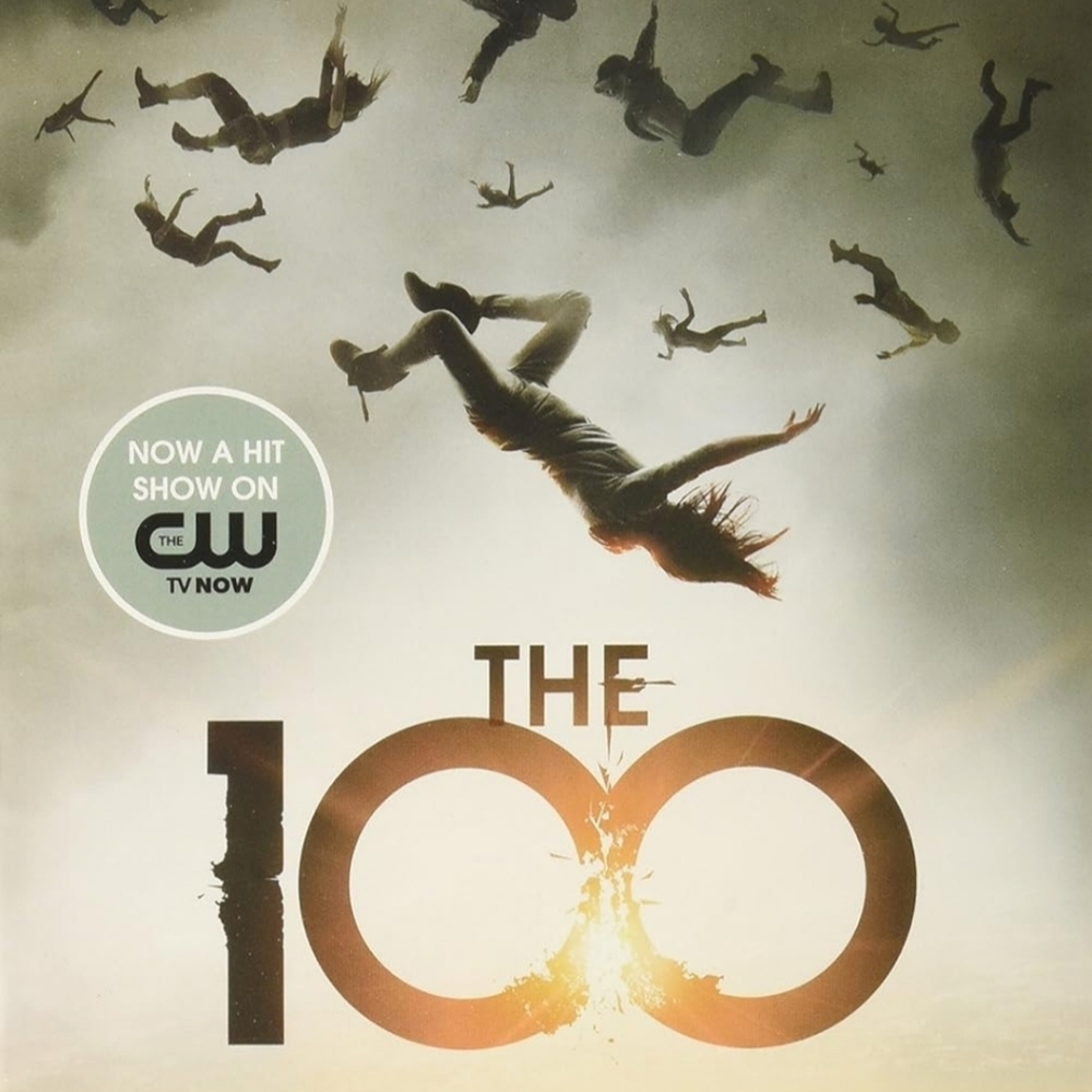 The 100 Book Series Box Set - Picture 5 of 6